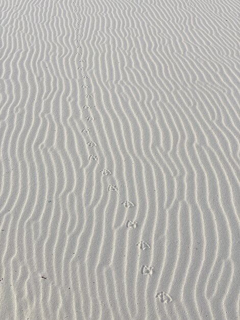 Photo full frame shot of sand dune