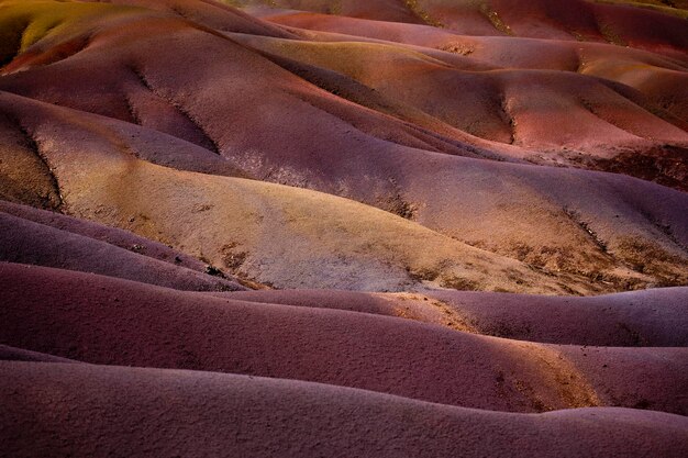 Foto fotografia completa della duna di sabbia