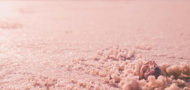 Full frame shot of sand on land