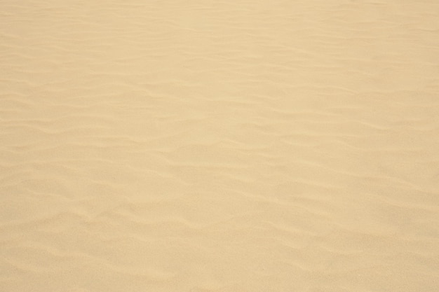 Foto una ripresa completa della sabbia.