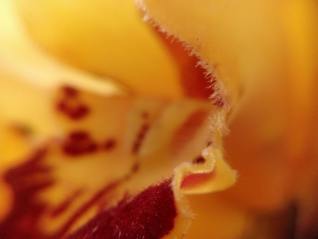 Full frame shot of sand