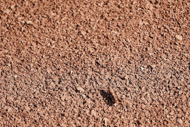 Photo full frame shot of sand