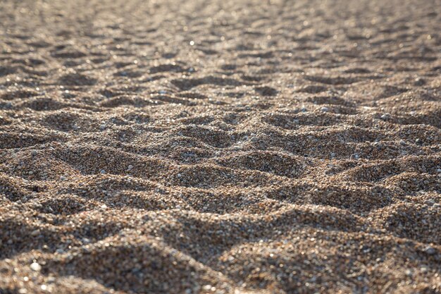 Foto immagine completa della spiaggia sabbiosa