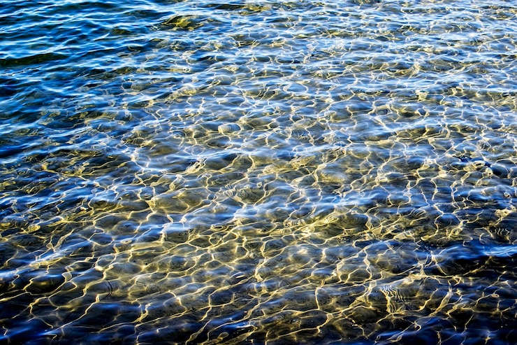 Фотография полный кадр морской воды