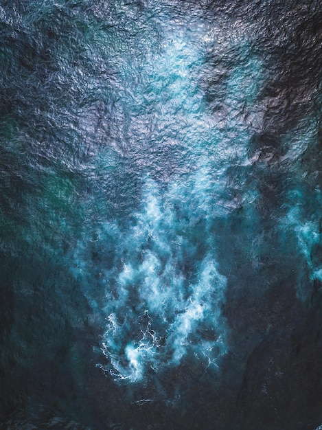 Full frame shot of sea weaves