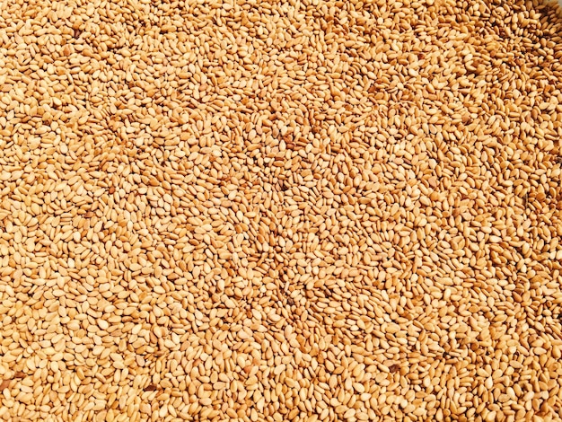 Photo full frame shot of sesame seeds