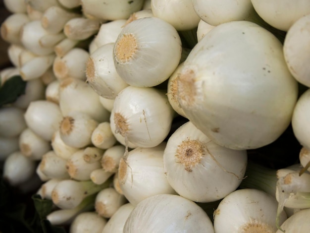 Full frame shot of small green onions for sale at market stall