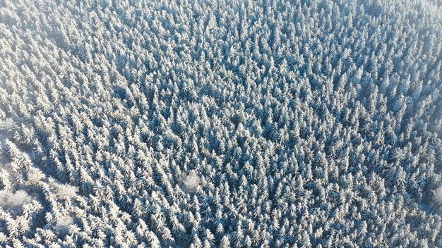 Full frame shot of snow covered land