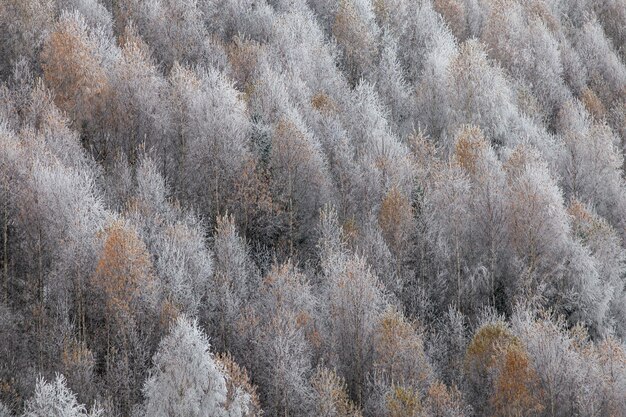 Full frame shot of snow covered land