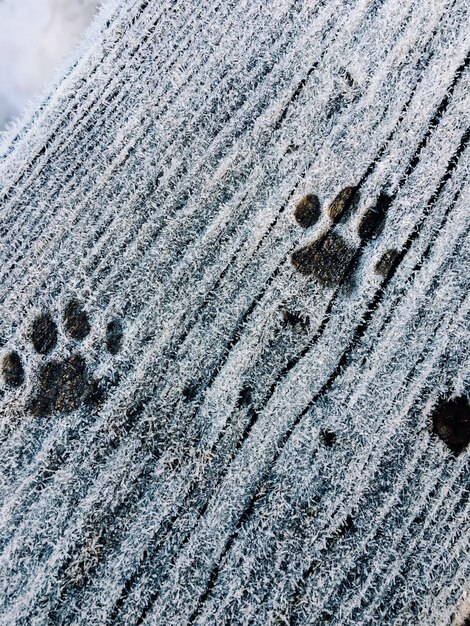 Foto scatto completo di terra coperta di neve