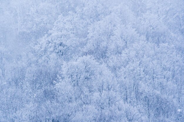 Photo full frame shot of snow covered land