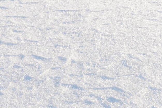 Foto fotografia completa della neve sulla terraferma