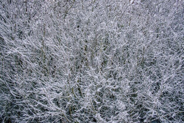 Photo full frame shot of snow