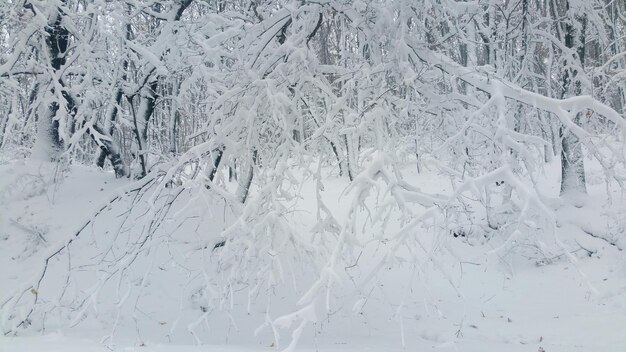 Photo full frame shot of snow