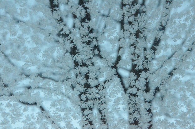 Full frame shot of snowflakes