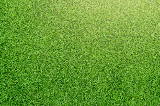 Full frame shot of soccer field