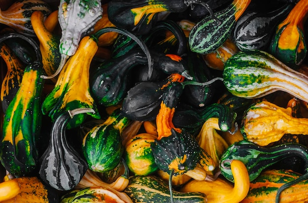 Full frame shot of squash at market for sale