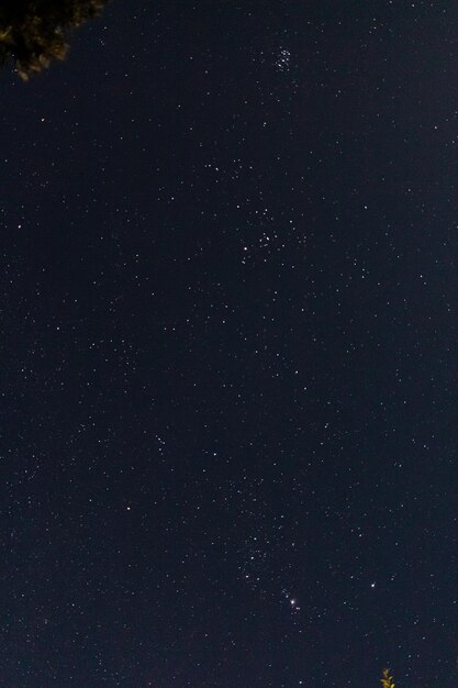 Foto fotografia completa del campo stellato di notte