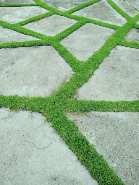 Full frame shot of stone pathway on grass