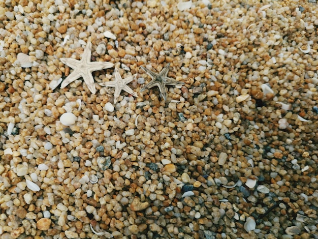 Full frame shot of stones