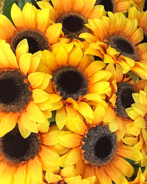 Full frame shot of sunflowers