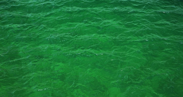 Photo full frame shot of swimming pool