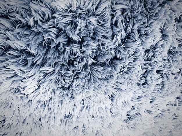 Photo full frame shot of textile