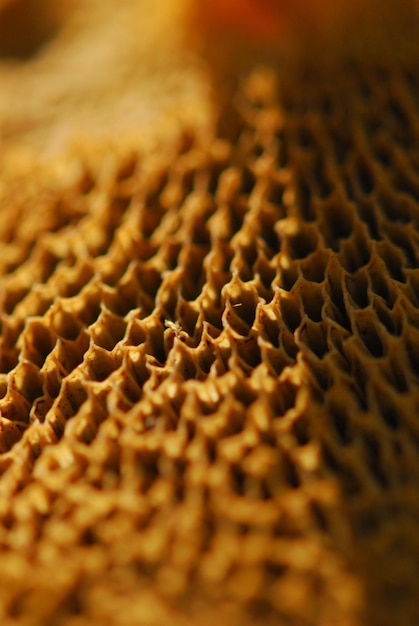 full frame shot of textured surface