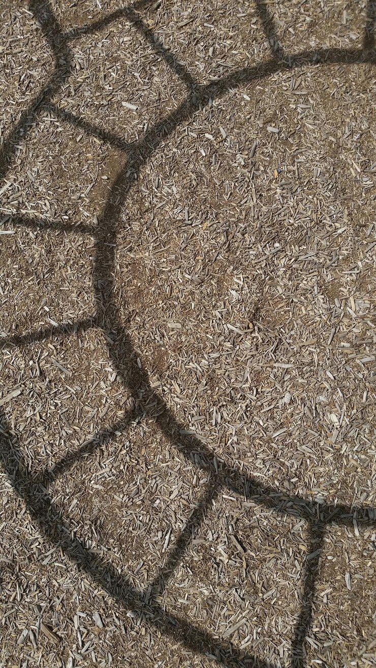 Photo full frame shot of tiled floor