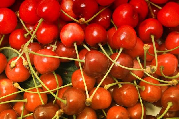 Foto fotografia completa di pomodori al mercato