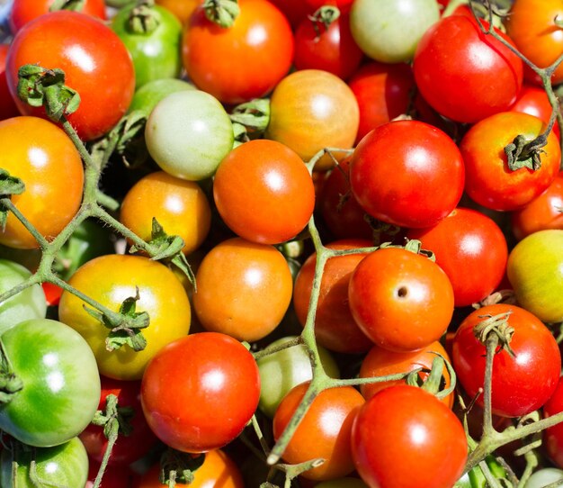 Full frame shot of tomatoes