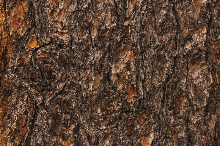 Photo full frame shot of tree trunk