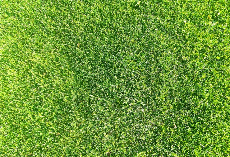 Foto full frame shot van een voetbalveld met groene gras achtergrond