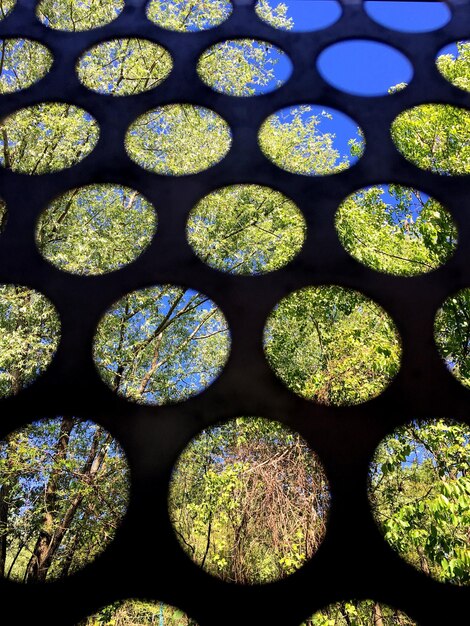 Foto full frame shot van metaal met gaten tegen bomen