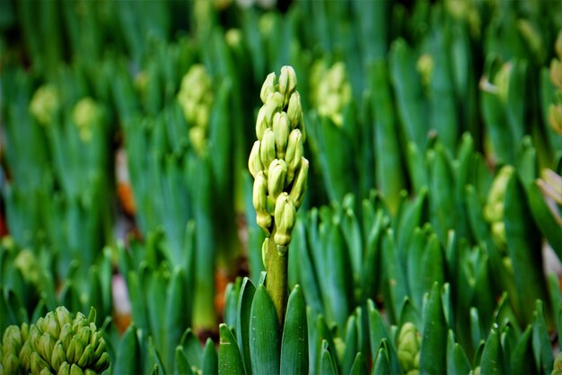 Full frame shot of vegetables