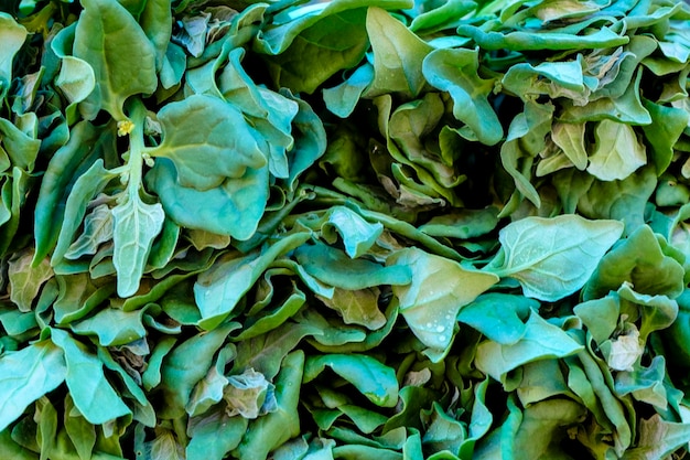 Photo full frame shot of vegetables