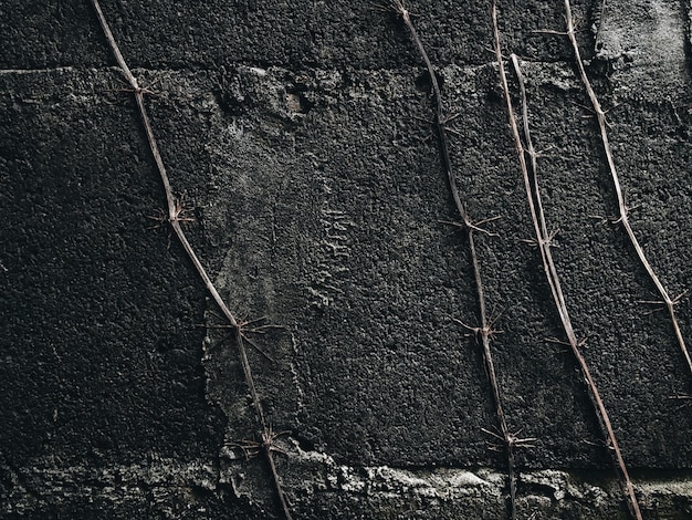 full frame shot of wall