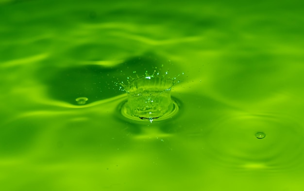 Photo full frame shot of water drops on leaf