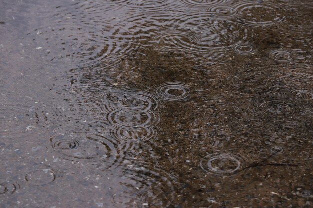 Foto scatto completo di gocce d'acqua sulla pozzanghera