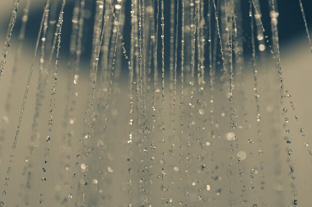 Foto fotografia completa di gocce d'acqua nella stagione delle piogge