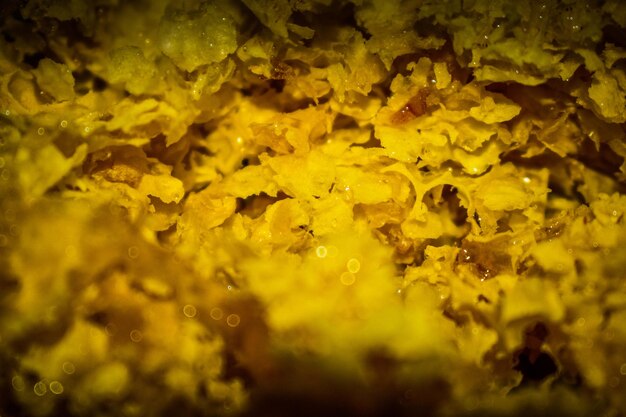 Photo full frame shot of water drops on yellow leaf