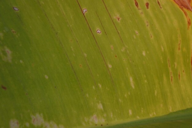 Full frame shot of water on grass