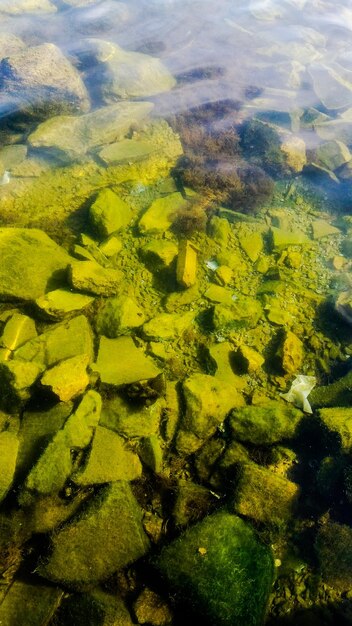 Full frame shot of water on landscape