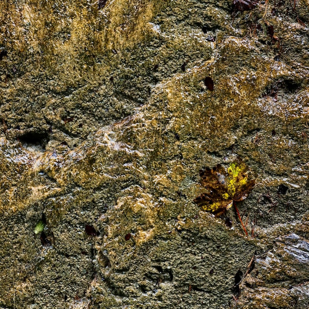 Foto fotografia completa dell'acqua sulla roccia