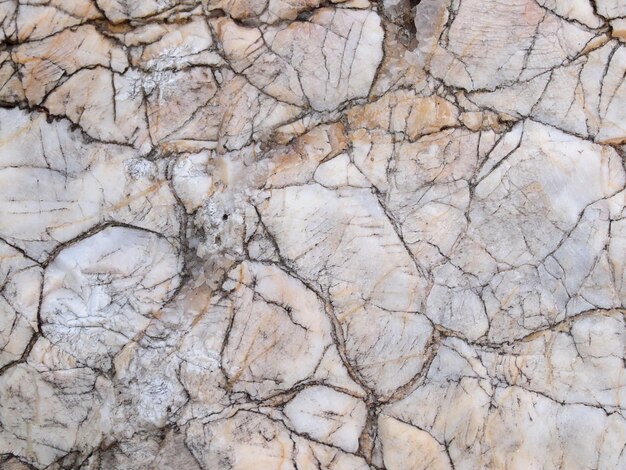 Foto fotografia completa dell'acqua con le rocce