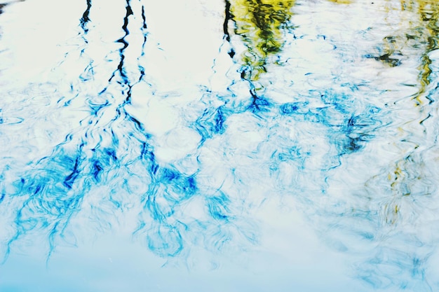 Foto fotografia completa dell'acqua con il riflesso dell'albero