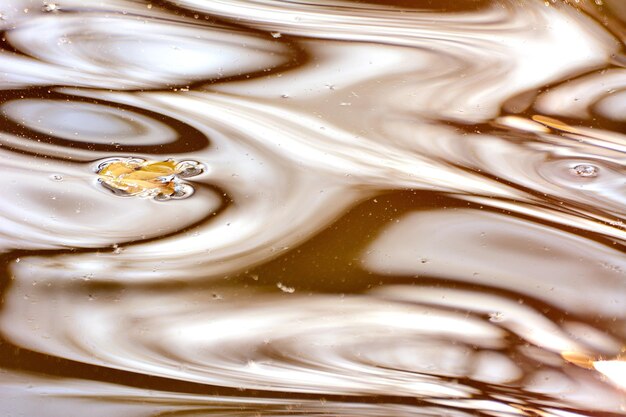 Foto immagine completa dell'acqua