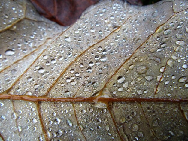 Full frame shot of water