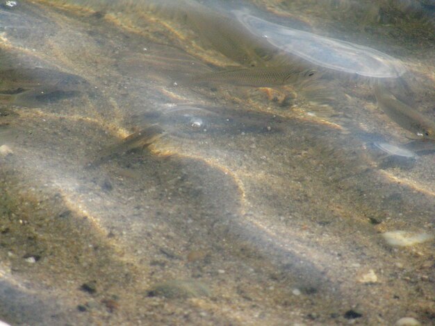 Full frame shot of water