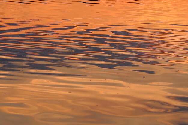 Foto immagine completa dell'acqua